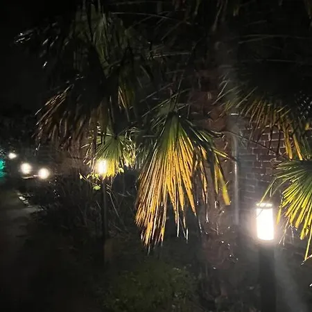 L'algeroise & Ronchin